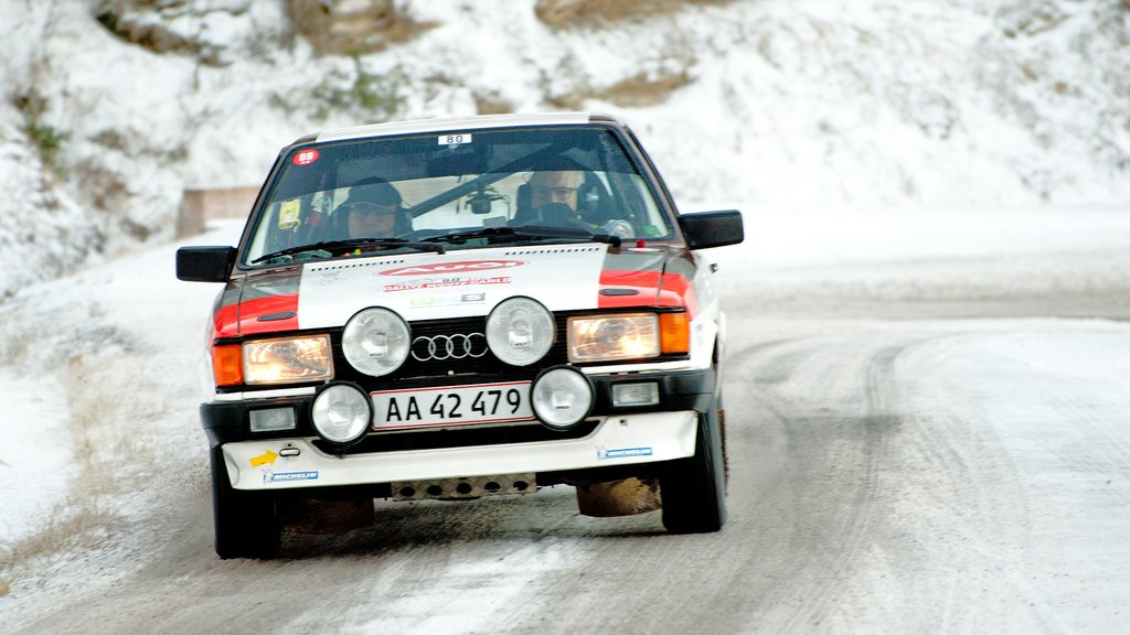 Toni Hansen og Per Brodersen på en af de mange glatte strækninger i Provence
(Foto: Viggo Johansen, rallypics.dk)